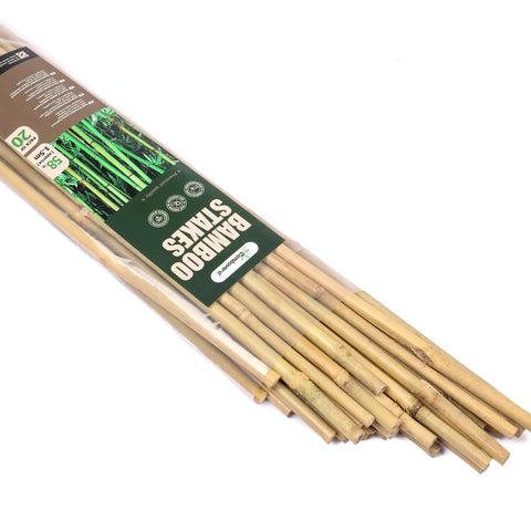 Cambaverd 5ft bamboo stake for sturdy plant support in the garden