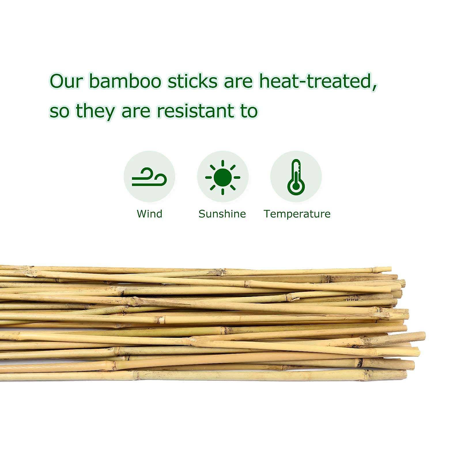 Cambaverd climbing-plant-support helps vines reach sun with stable structure.