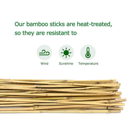 Cambaverd climbing-plant-support helps vines reach sun with stable structure.