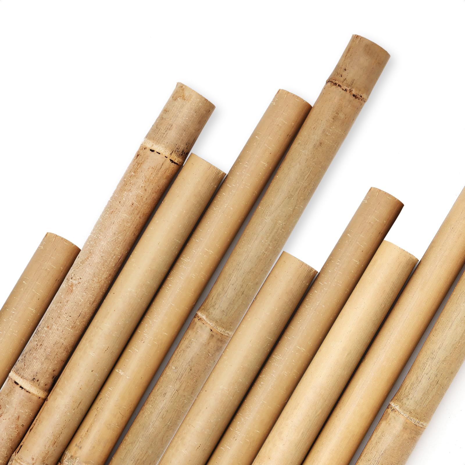 Cambaverd bamboo stakes 8ft with 1in diameter provide sturdy garden support for climbing plants.