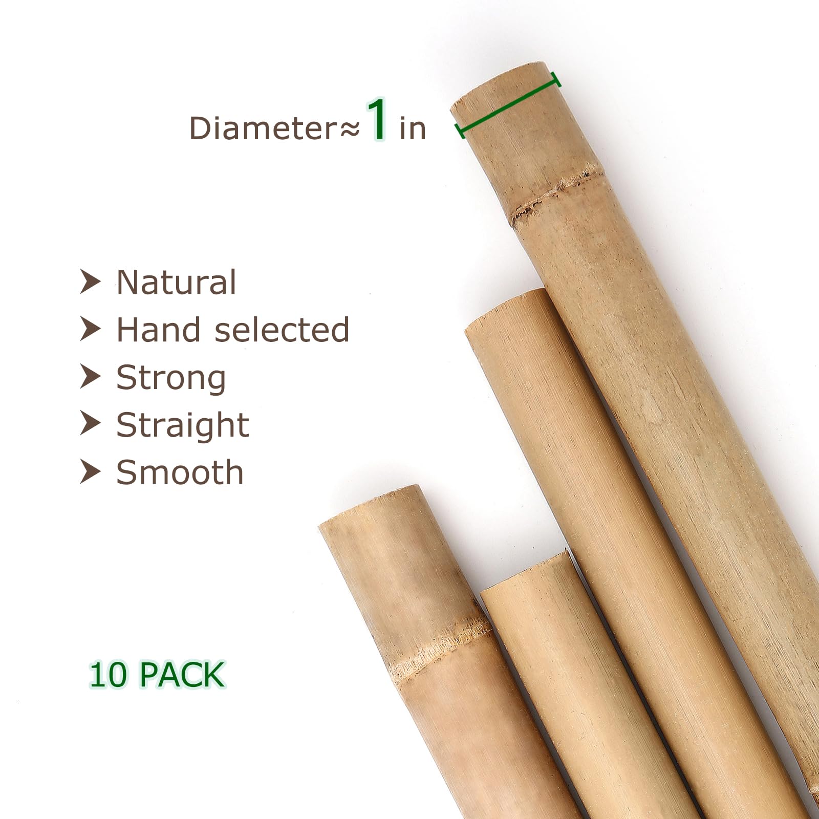Cambaverd bamboo stakes for tomatoes and cucumbers offer durable trellis support.