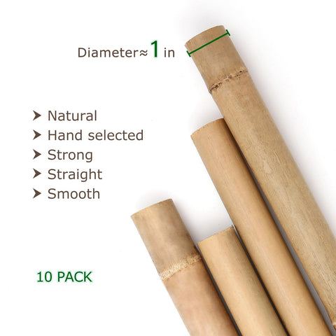 Cambaverd bamboo stakes for tomatoes and cucumbers offer durable trellis support.