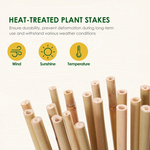 Cambaverd bamboo stakes for vegetables and flowers, versatile garden support.