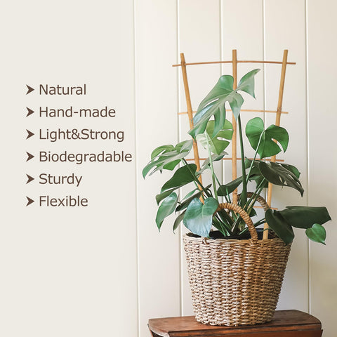 Cambaverd bamboo trellis natural finish adds sturdy support for climbing plants
