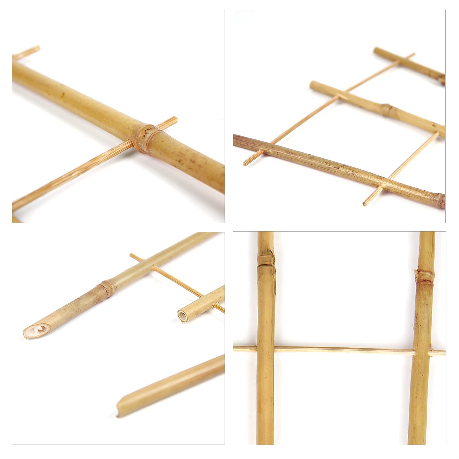 Cambaverd durable flexible bamboo trellis for long-term garden use
