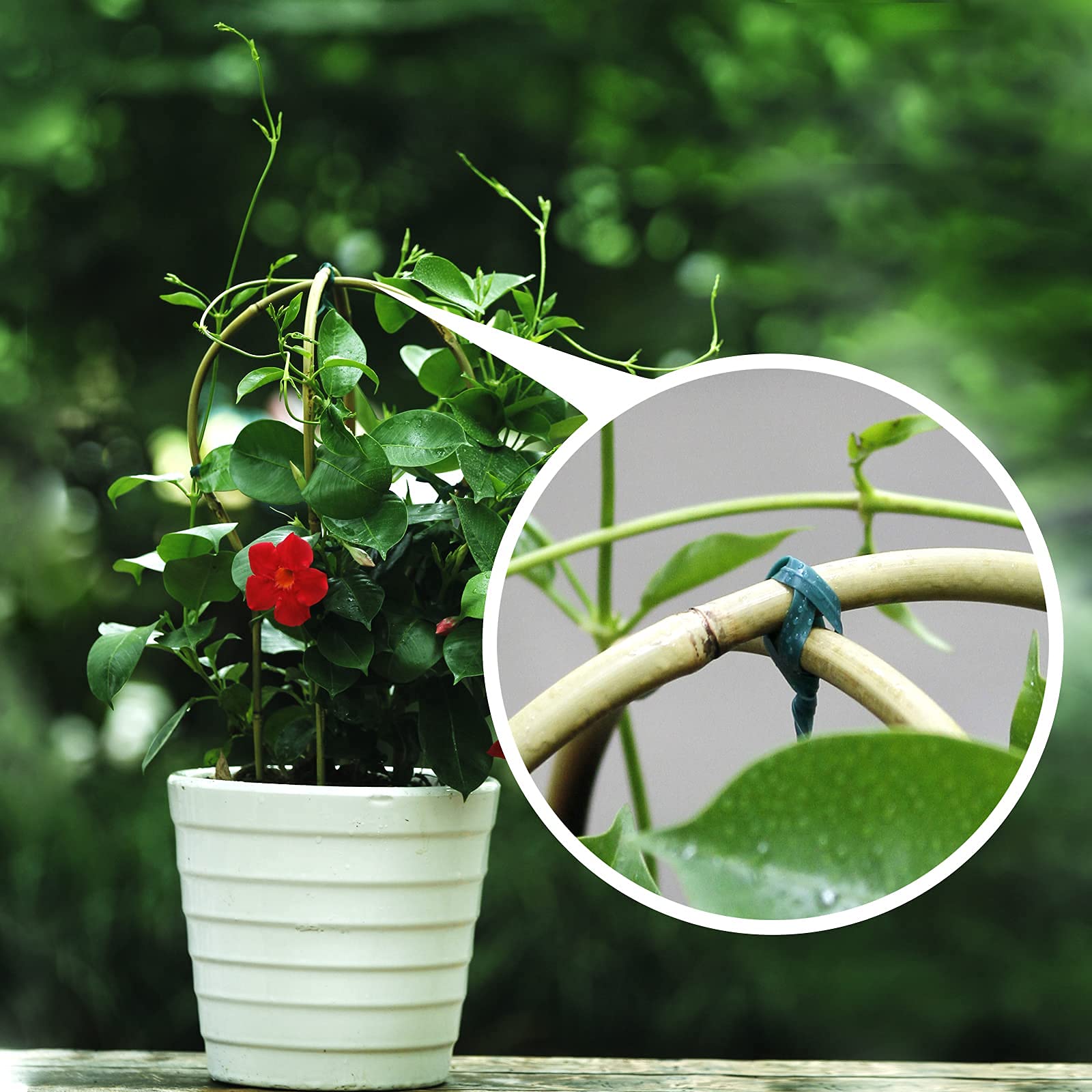Cambaverd easy installation allows placement near pots or walls