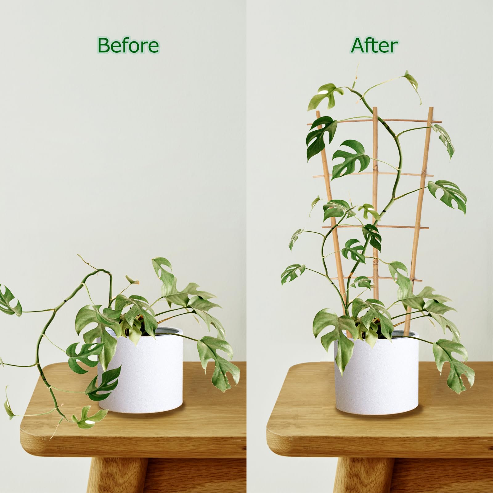 Cambaverd eco-friendly bamboo material reduces plastic use