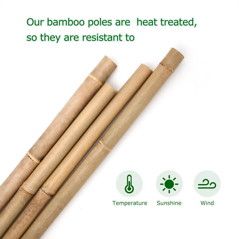 Cambaverd natural bamboo poles add versatile garden support and decorative appeal.