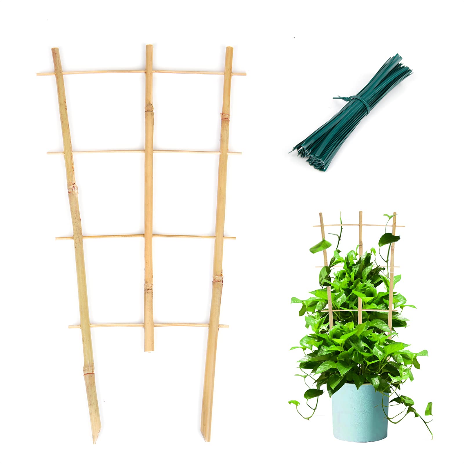 Cambaverd plant trellis 3-pack with 16in fan shape supports indoor vines