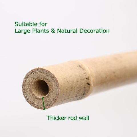 Cambaverd thick bamboo plant stakes come in a 10-pack for large plants.