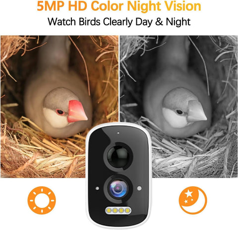 Camii camera with 110-degree wide-angle lens capturing broad bird activity