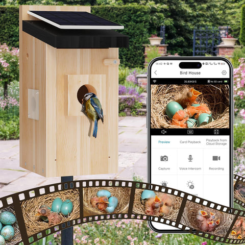 Camii IP66 weatherproof bird house enduring rain and wind outdoors