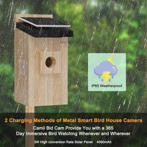 Camii motion detection alerts notifying on mobile for wildlife moments