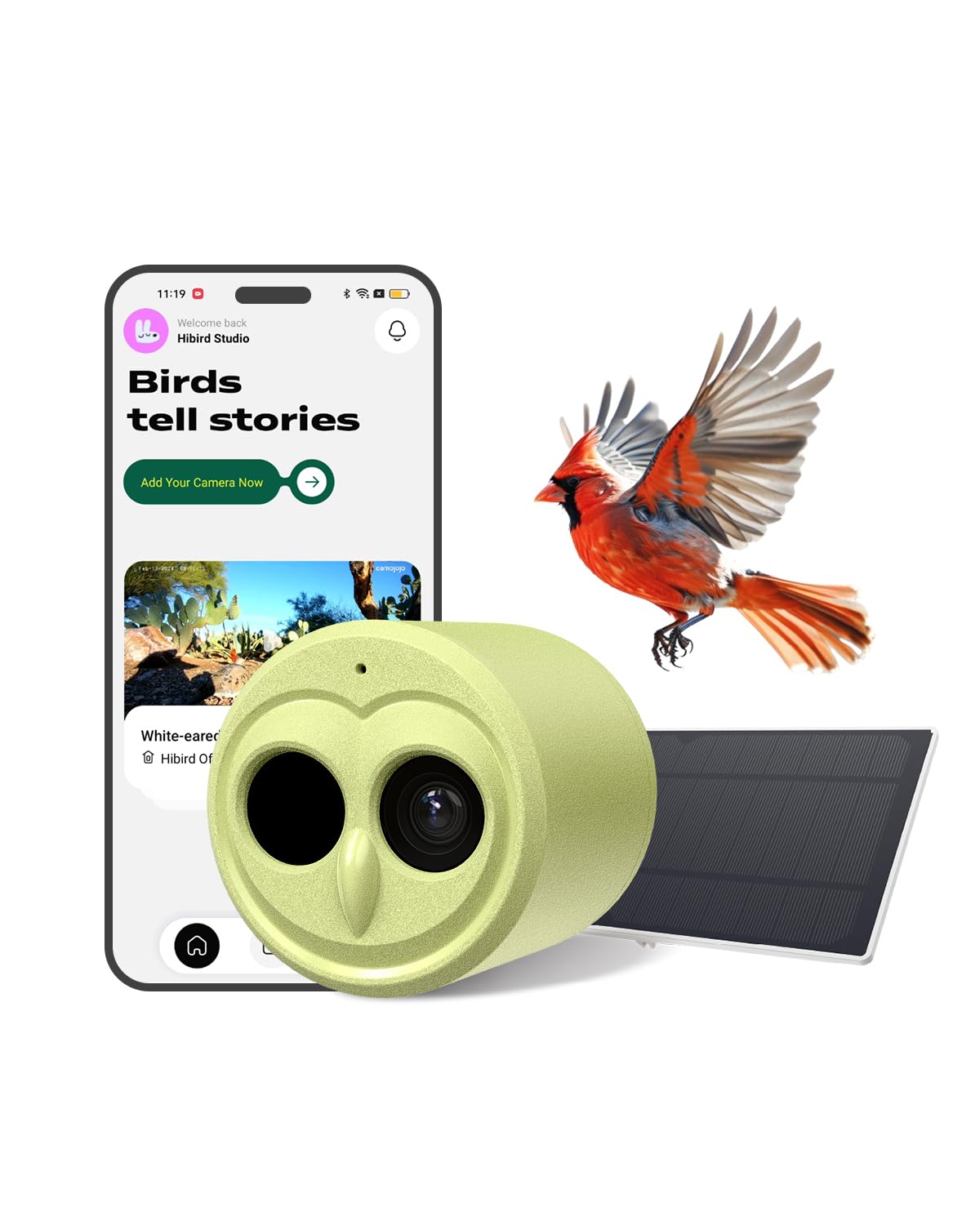 Camojojo Hibird 4K bird feeder camera setup captures clear visiting birds.