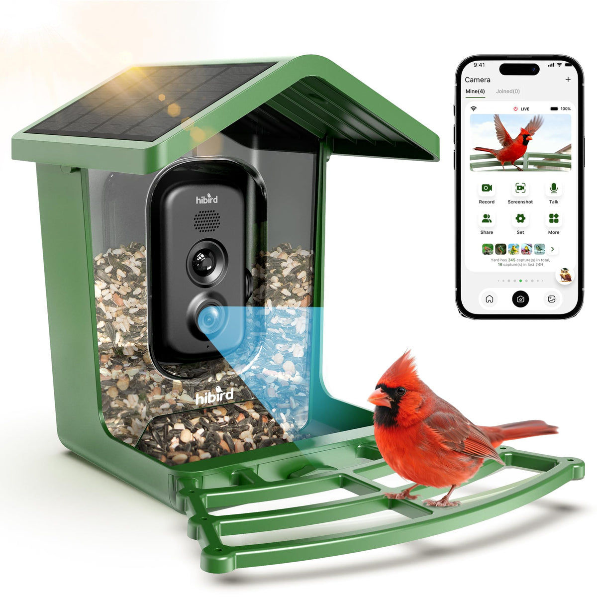 Camojojo Hibird 4K camera front view captures vivid bird activity