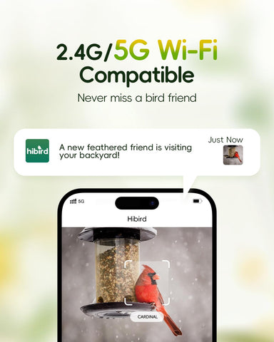 Camojojo Hibird AI identifies 10,000 species for quick bird insights.