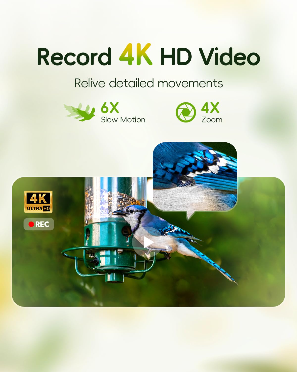 Camojojo Hibird 1080p live view provides real-time bird watching.