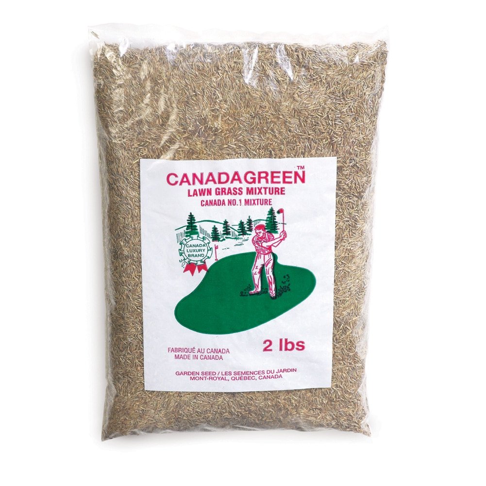 Canada Green Grass Lawn Seed bag front view, easy-to-use seed for a lush, durable lawn.