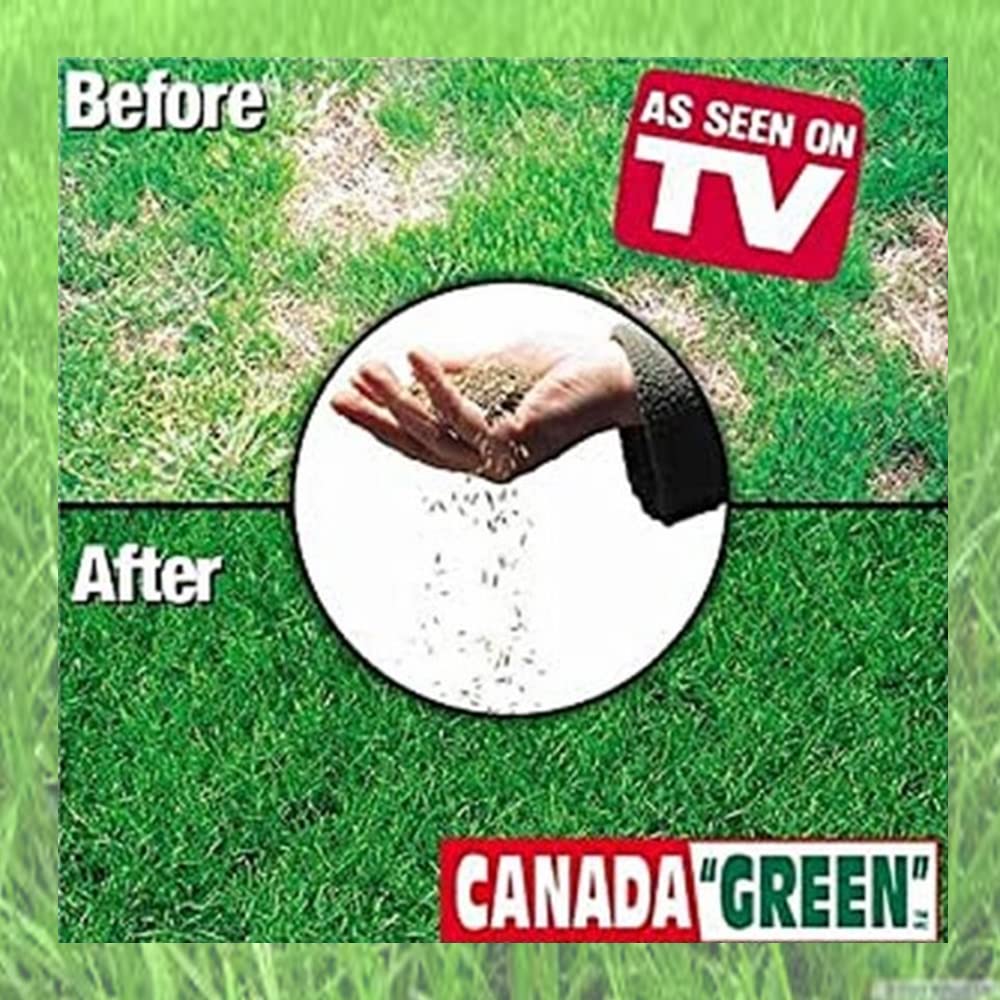 Canada Green Grass Lawn Seed soil-ready application, supports healthy green lawn growth.