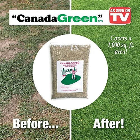 Canada Green Grass Lawn Seed being spread, ideal for rejuvenating yards and gardens.