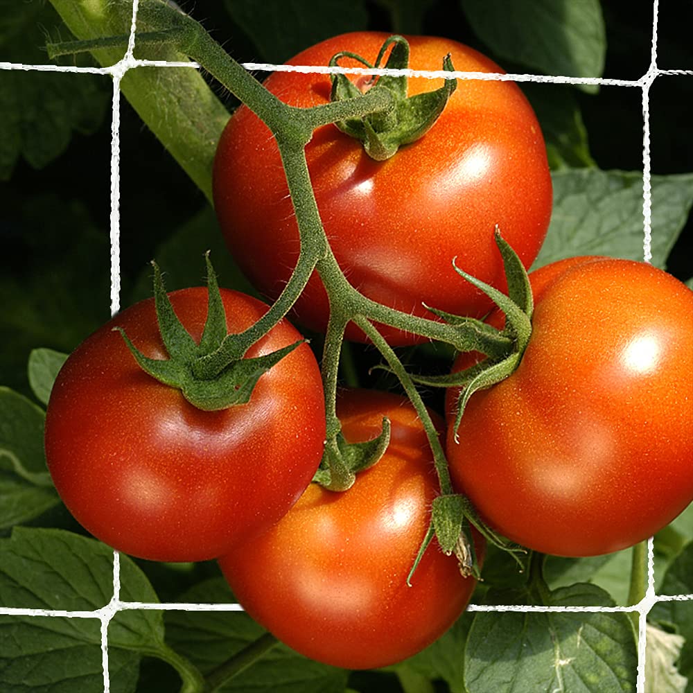 CANAGROW trellis netting helps climbing flowers reach upward for a tidy garden.