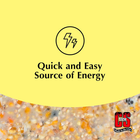 C&S High Energy Suet ingredients close-up show seeds and fruits.