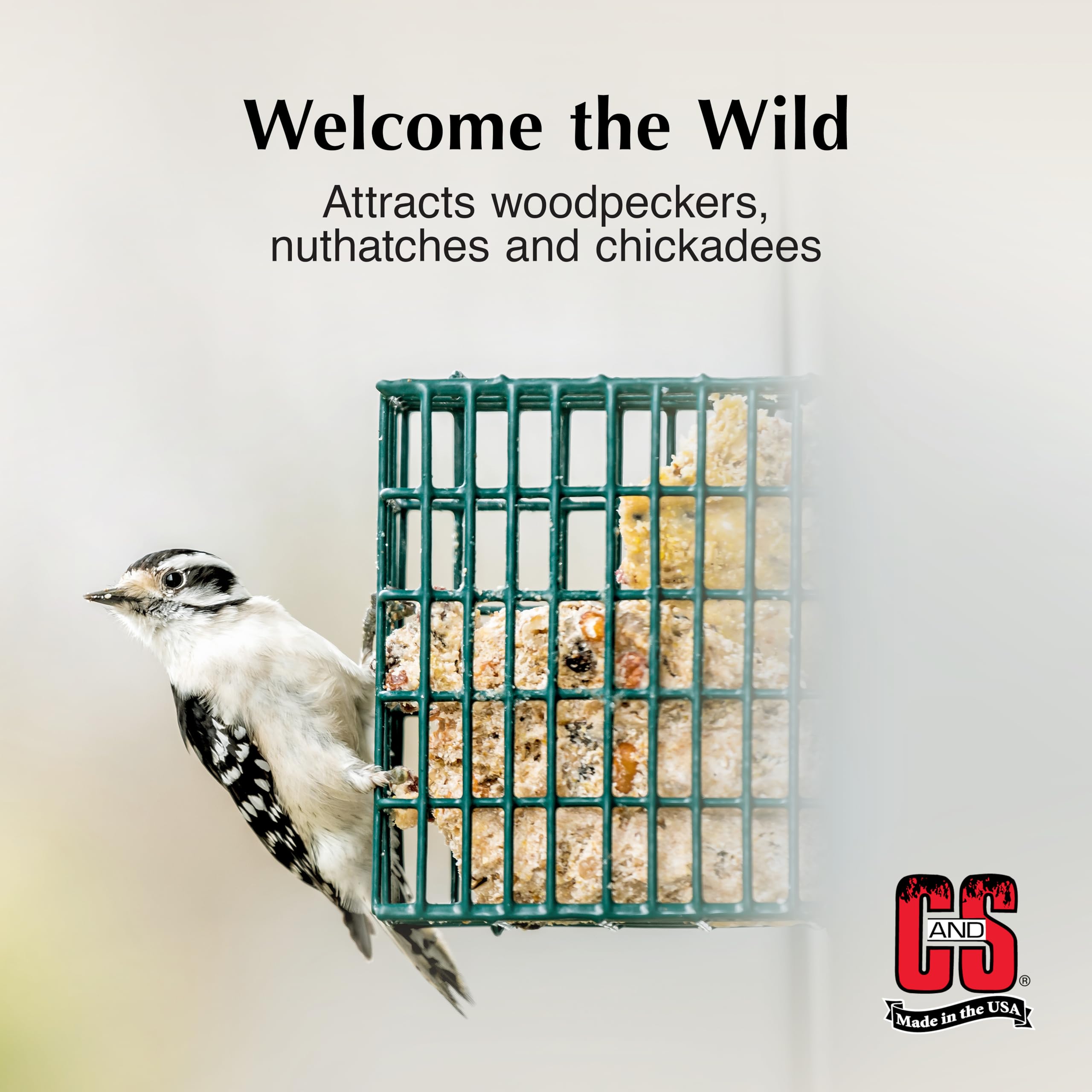 C&S High Energy Suet attracts jays to the backyard feeder.