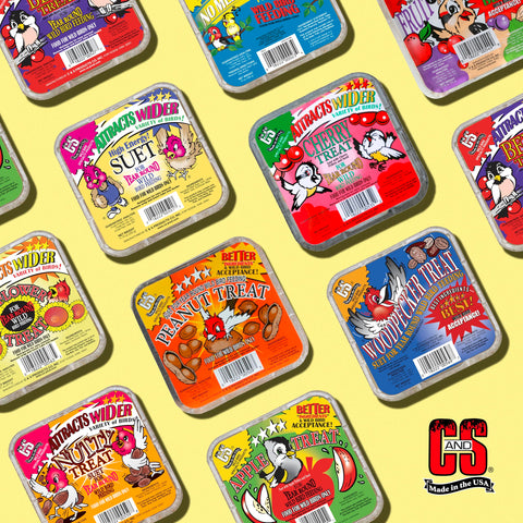 C&S High Energy Suet packs highlight year-round backyard feeding.