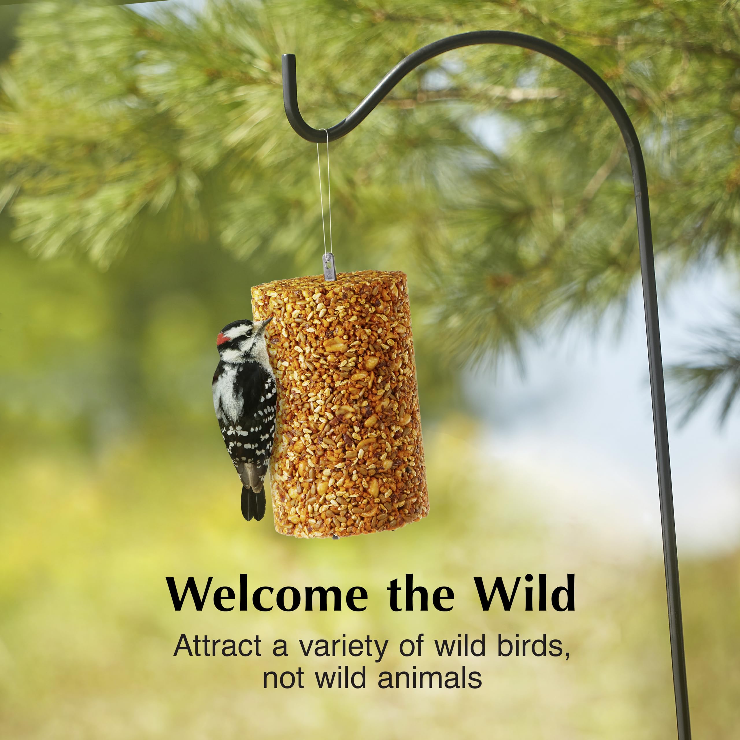 C&S two-pack seed cylinder provides a convenient backup for continuous feeding.