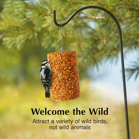 C&S two-pack seed cylinder provides a convenient backup for continuous feeding.