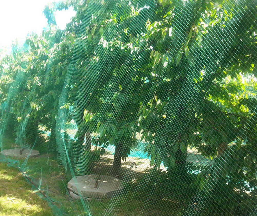 CandyHome bird netting close-up shows durable PE mesh for garden protection.