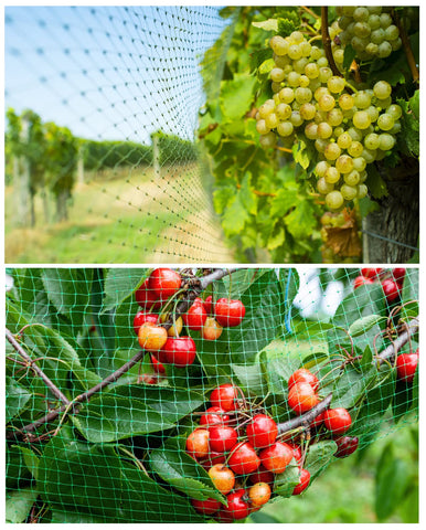 CandyHome easy-cut netting fits irregular shapes without fraying.