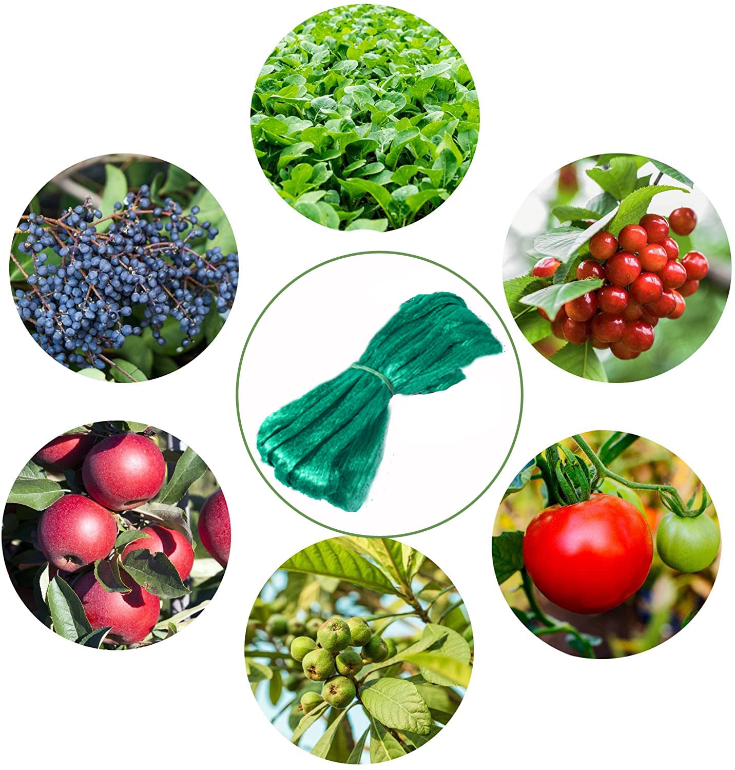 CandyHome fruit tree netting guards trees and shrubs during harvest.