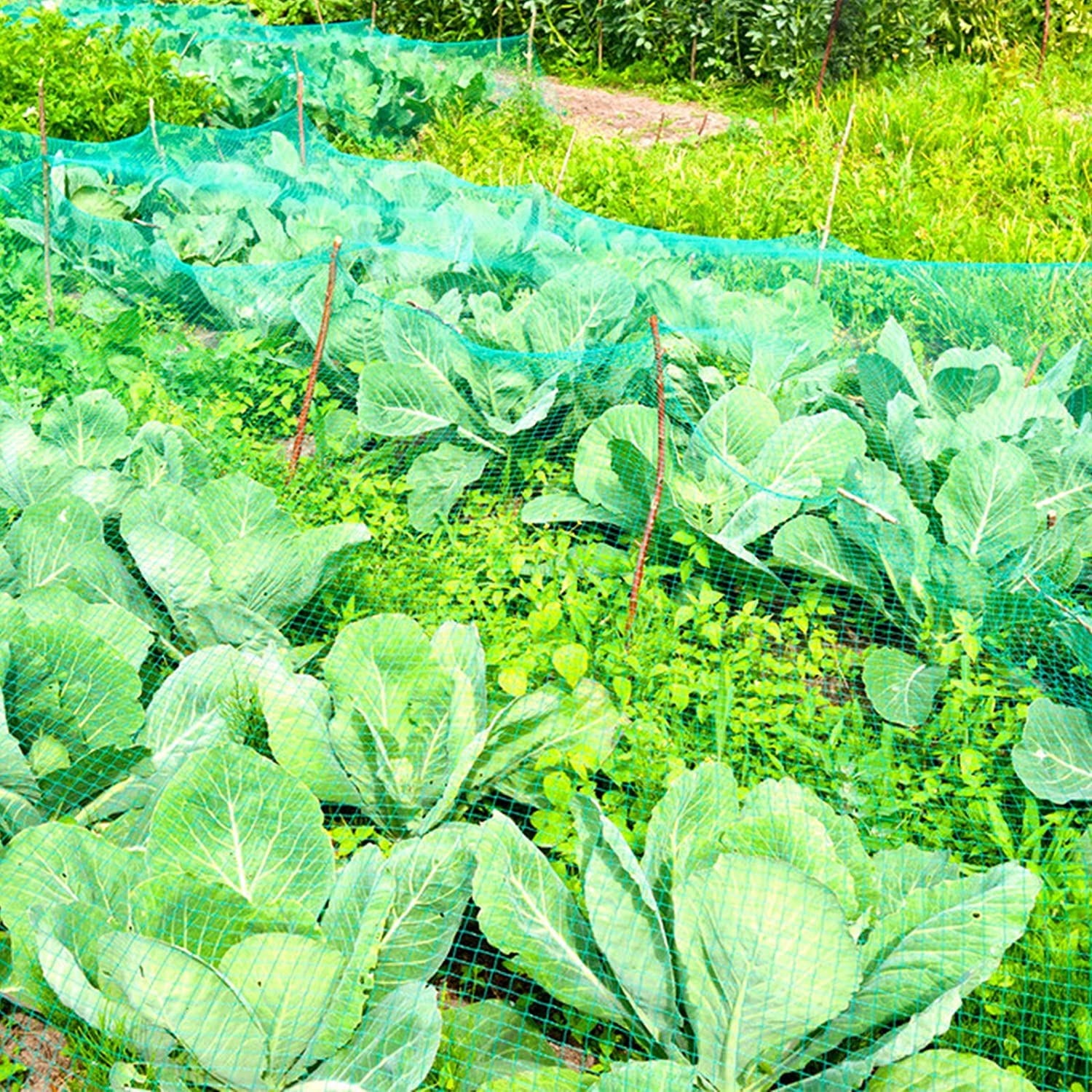 CandyHome reusable garden netting supports multiple seasons of growth.