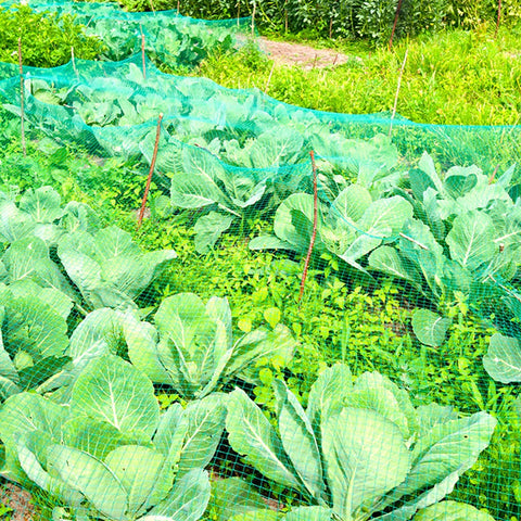 CandyHome reusable garden netting supports multiple seasons of growth.