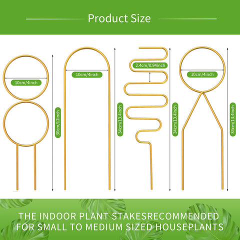 CANIPHA 30x10 cm trellis provides sturdy staking for compact climbers.
