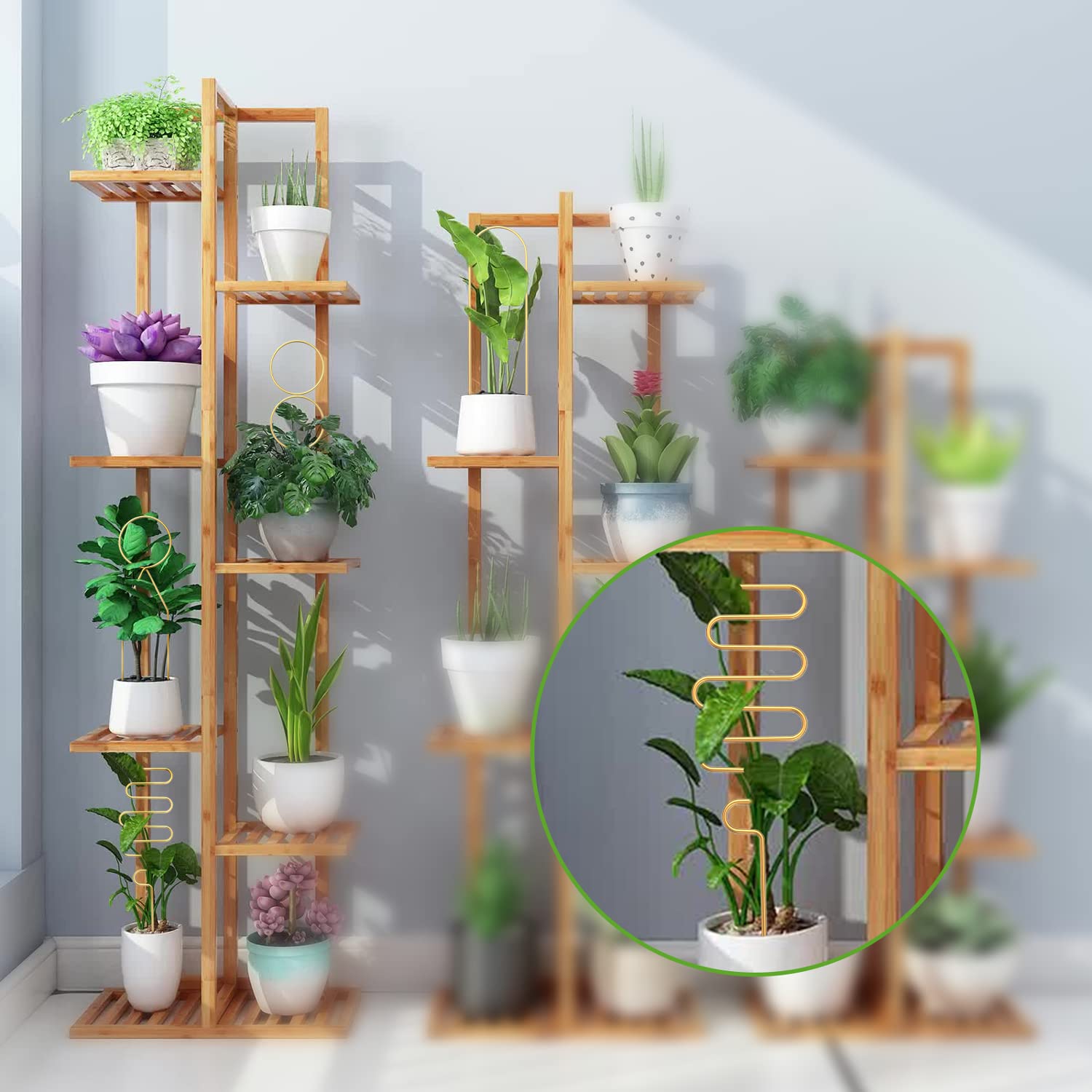 CANIPHA versatile climbing-plant trellis for Hoya, pothos, roses, and more.