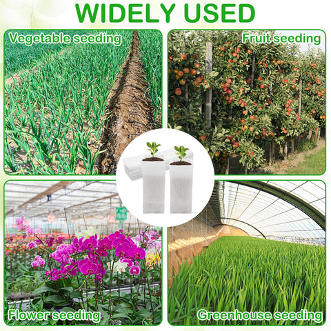 CANIPHA durable plant bags resist tearing during handling and growing cycles.
