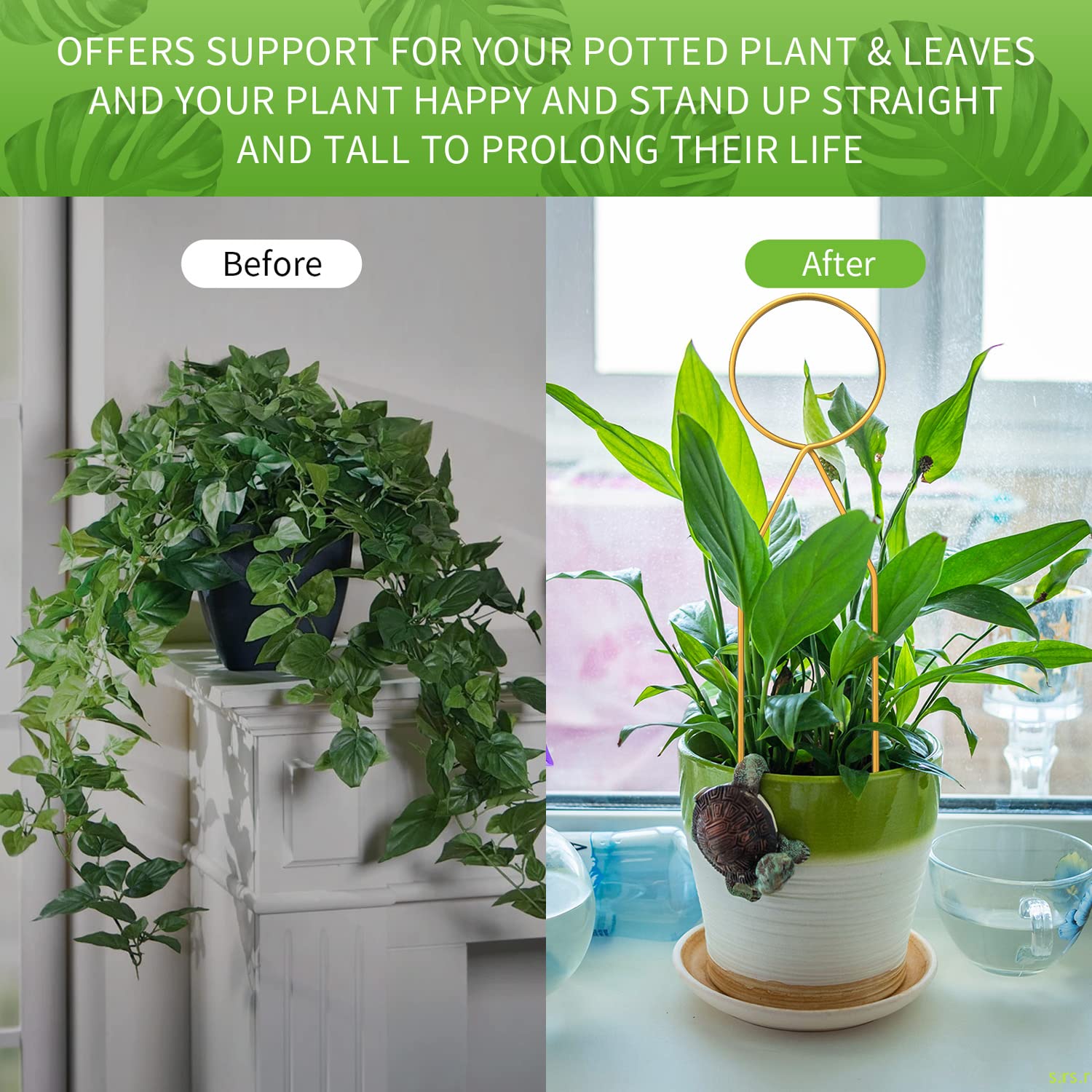 CANIPHA easy-install plant trellis; plug into soil without tools.