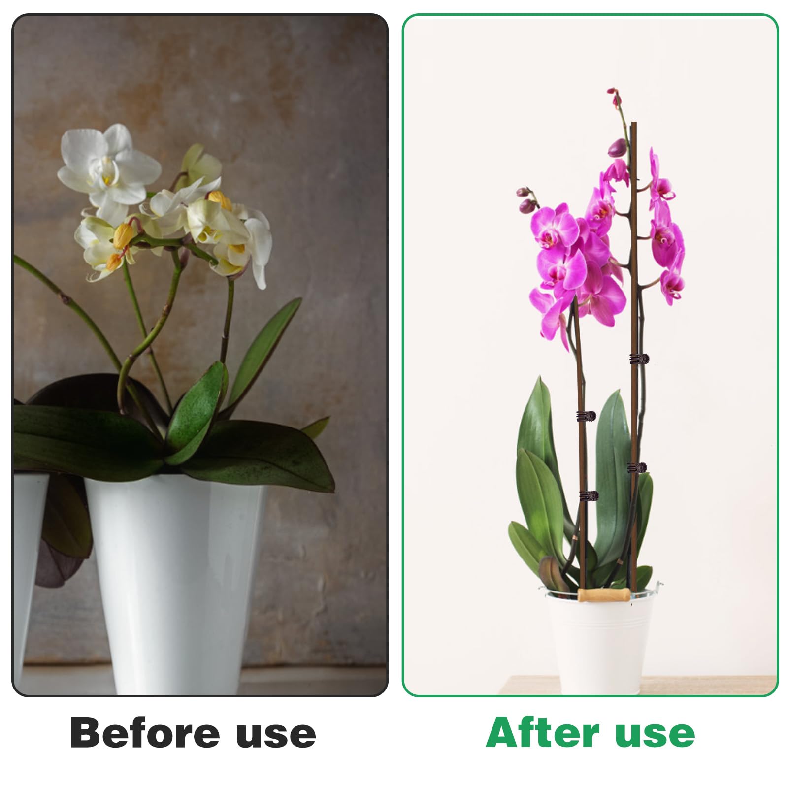 CANIPHA easy-setup requires no tools for quick garden organization.