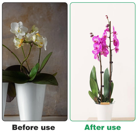 CANIPHA easy-setup requires no tools for quick garden organization.