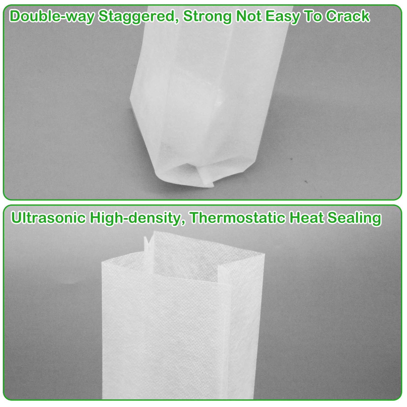 CANIPHA easy transplant bags allow direct soil placement without disturbing seedlings.