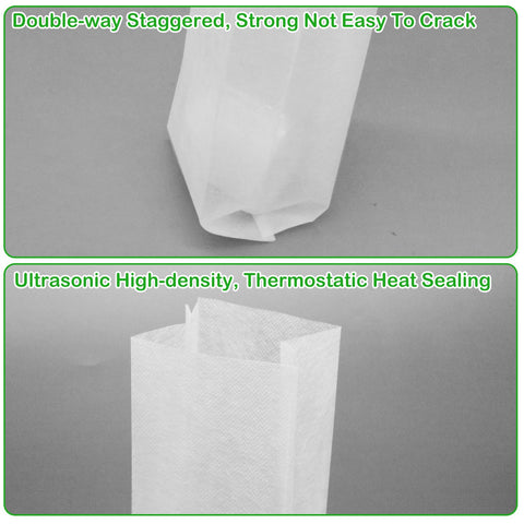 CANIPHA easy transplant bags allow direct soil placement without disturbing seedlings.