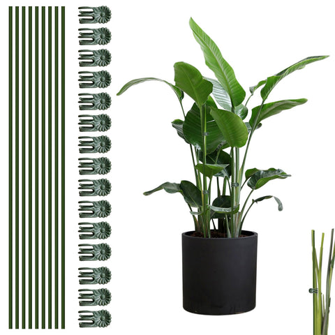 CANIPHA green plant stake supporting a tall outdoor plant for upright growth