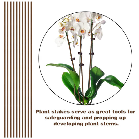 CANIPHA indoor-outdoor use supports flowers across seasons.