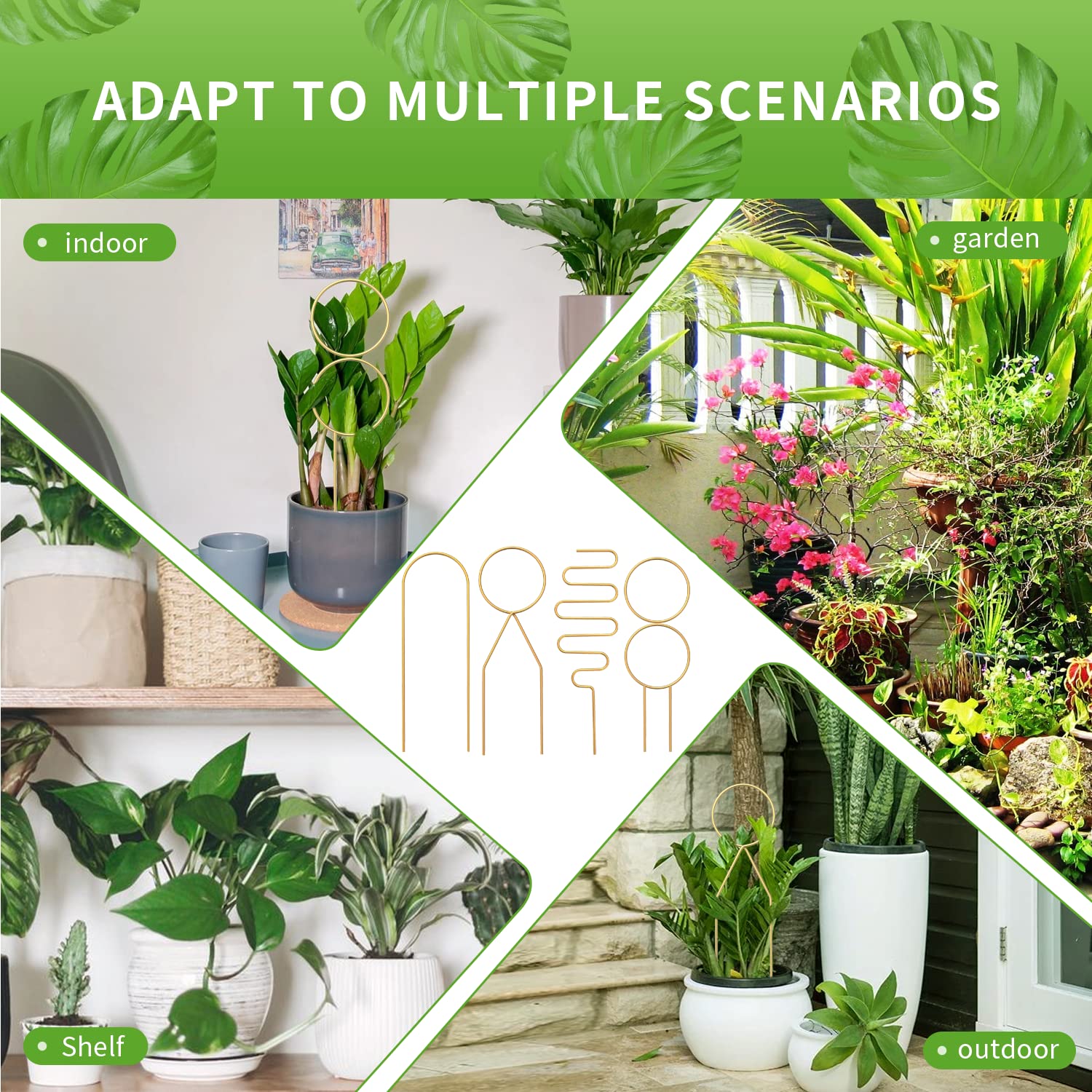 CANIPHA compact indoor trellis set promises tidy growth and visual appeal.