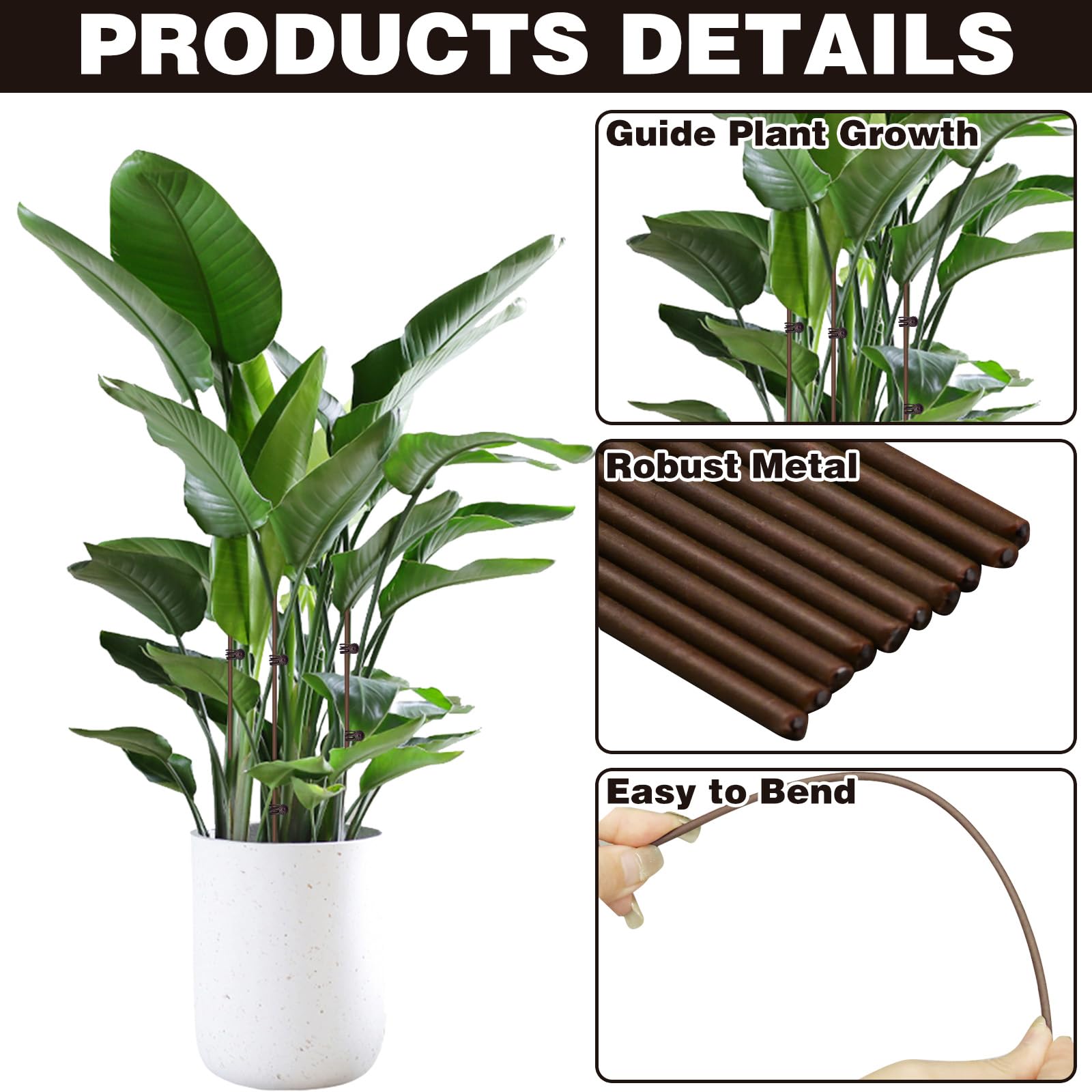 CANIPHA orchid-stake bendable guides orchid stems gently.