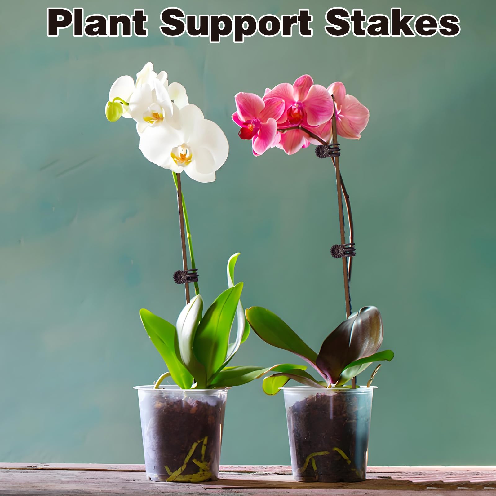 CANIPHA wind-resistant stake keeps plants stable in breeze.