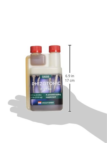 Rhizotonic marine algae ingredients highlight natural nutrient benefits