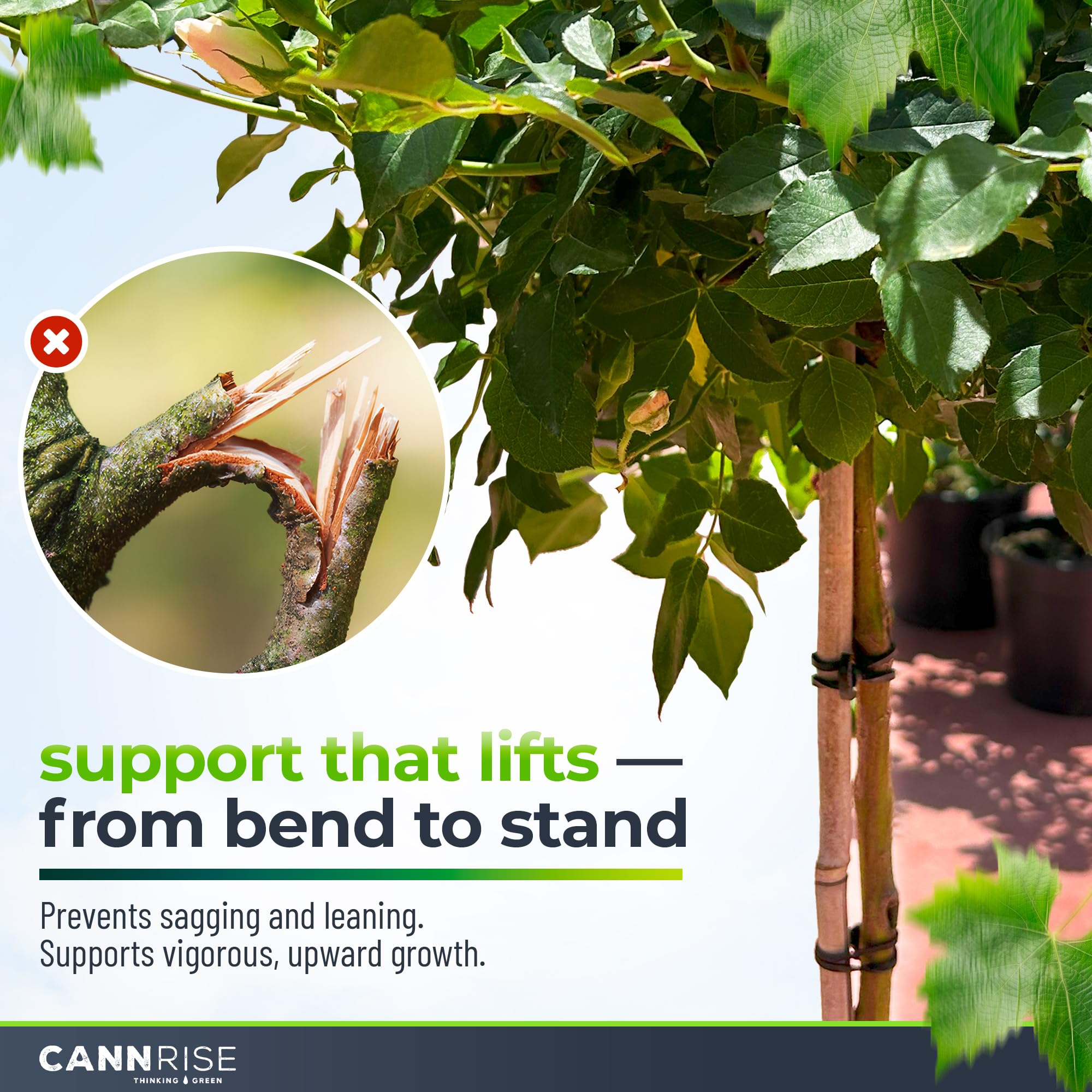 70-pack of Cannrise anchor bands ready for full-season trellising and maintenance.